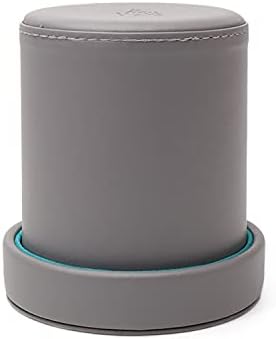 Luck Lab Grey Leather Dice Cup with Lid Including 6 Matching Pearl Dice - Teal Velvet Interior for Quiet Shaking - Use for Liars Dice Farkle Yahtzee Board Games, Grey