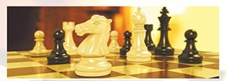Magnetic Travel Chess Set 9.84" with Folding Chess Board Educational Toys for Kids and Adults