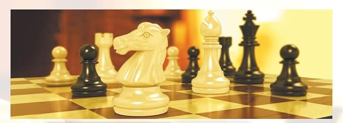 Magnetic Travel Chess Set with Folding Chess Board Educational Toys for Kids and Adults (12.6")