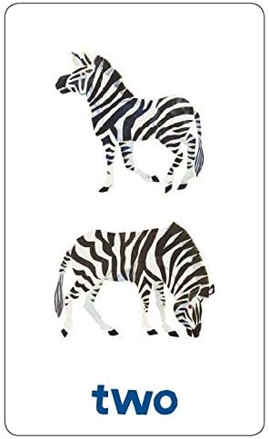 World of Eric Carle (TM) Numbers & Counting Flash Cards: (Learning To Count Cards, Math Flash Cards for Kids, Eric Carle Flash Cards)