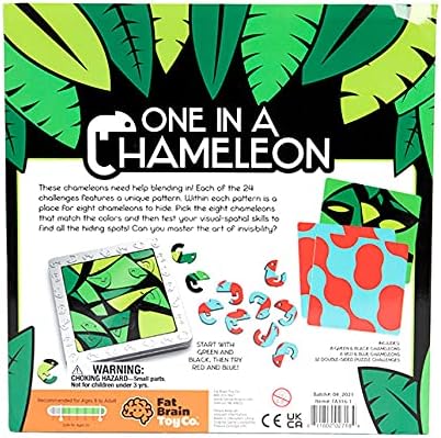 Fat Brain Toys One in a Chameleon - Magnetic Visual-Acuity Brainteaser, Ages 8+