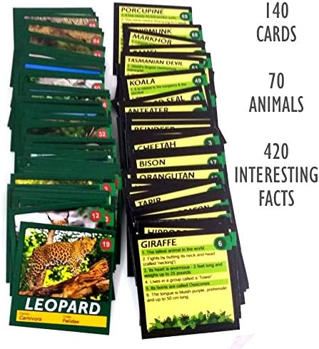 Jungle Quest: Animal & Wildlife Trivia, Educational Learning Card Game