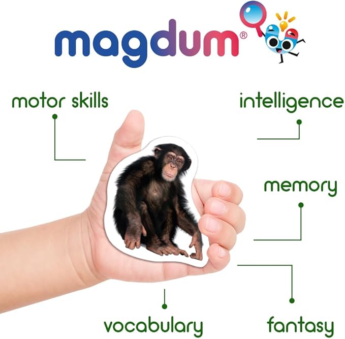 110 Fridge Magnet for Toddlers in Gift Tin Box Kids Magnets for Fridge - Realistic Magnetic Animals for Refrigerator - Safe Educational Materials for Baby: Zoo, Farm, Fruits, Vegetables, Transport