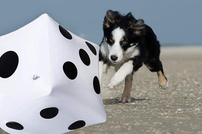 13 inch Giant Inflatable Dice Pool Toy for Lawn Game Outdoor Floor Games，Pack of 2