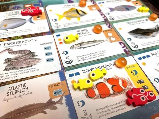Stonemaier Games: Finspan Upgrade Pack | Squishy Eggs and Wooden Fish Tokens | 40 Young Tokens, 20 School Tokens, and 50 Squishy Egg Tokens (TPR Plastic) - Add to Finspan