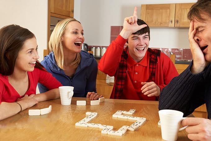 Dominoes Set for Adults and Kids Dominoes Set Double Six in Wine Wooden Case Double 6 Professional Domino Set 28 pcs Standard Domino Set 28 Tiles… (Double 6 Dominoes)