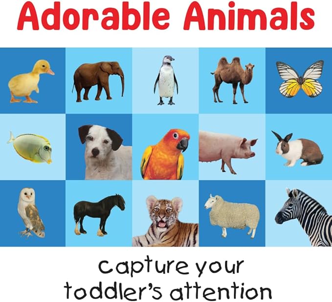 Briarpatch, First 100 Animals Matching Card Game, Based On Board Books by Roger Priddy, Preschool Learning for Kids