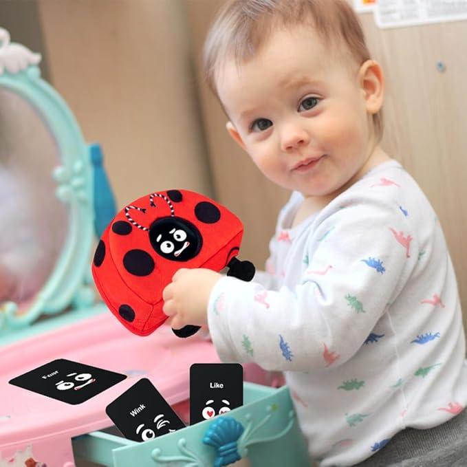 teytoy Social Emotional Learning Toy with Emotion Cards, Funny Ladybug Shape Expressions Matching Educational Montessori Toys for Preschool Learning Activities for Kids Ages 1-3 Years