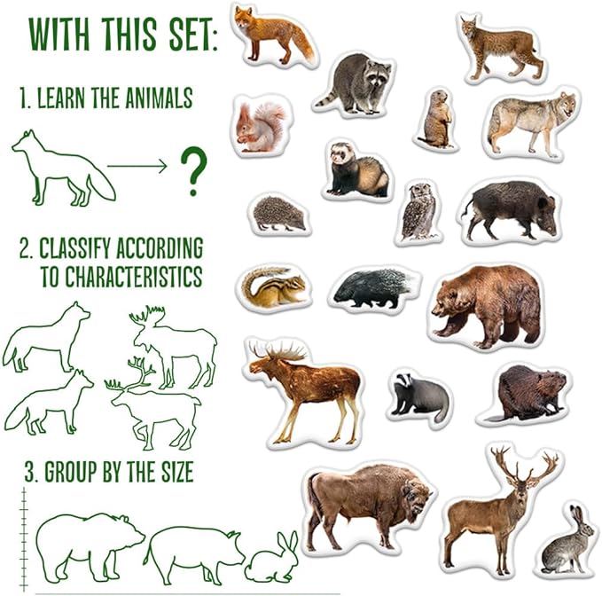 20 Fridge Magnets for Toddlers - Forest Photo Kids Magnets for Fridge - Toddler Magnets for Refrigerator - Magnetic Animals - Fridge Magnets for Kids - Animal Magnets - Toddler Fridge Magnets