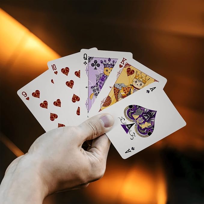 HAAKUN Witty Cat Playing Cards Cute Pet Board Games Poker Decks with Box