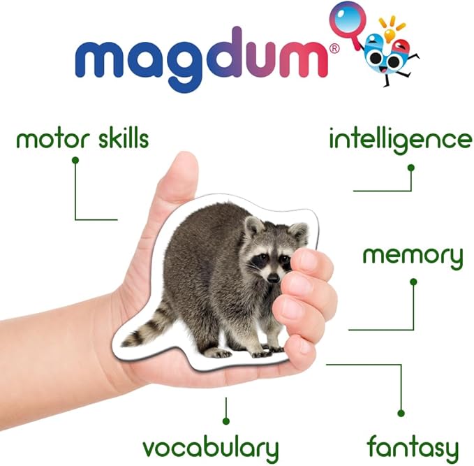 20 Fridge Magnets for Toddlers - Forest Photo Kids Magnets for Fridge - Toddler Magnets for Refrigerator - Magnetic Animals - Fridge Magnets for Kids - Animal Magnets - Toddler Fridge Magnets