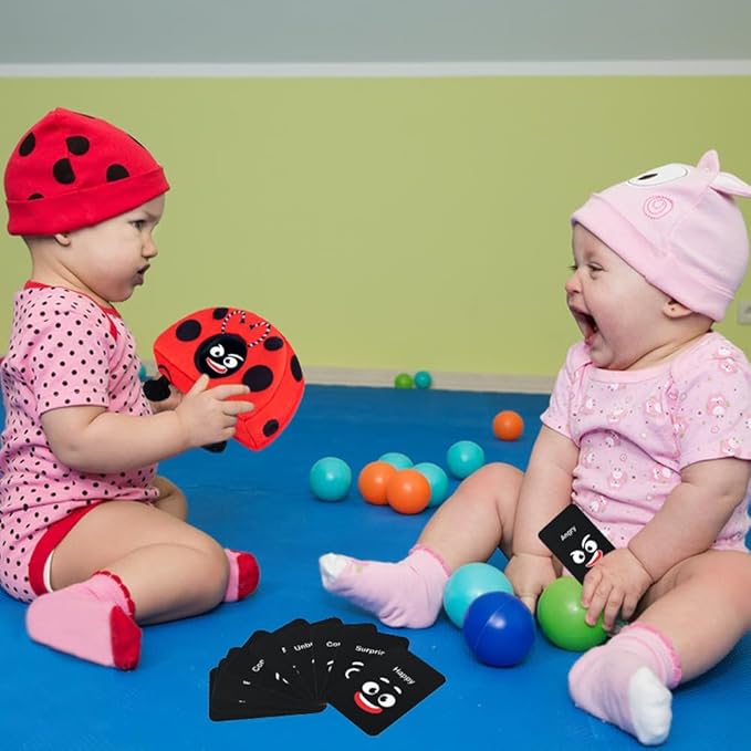 teytoy Social Emotional Learning Toy with Emotion Cards, Funny Ladybug Shape Expressions Matching Educational Montessori Toys for Preschool Learning Activities for Kids Ages 1-3 Years