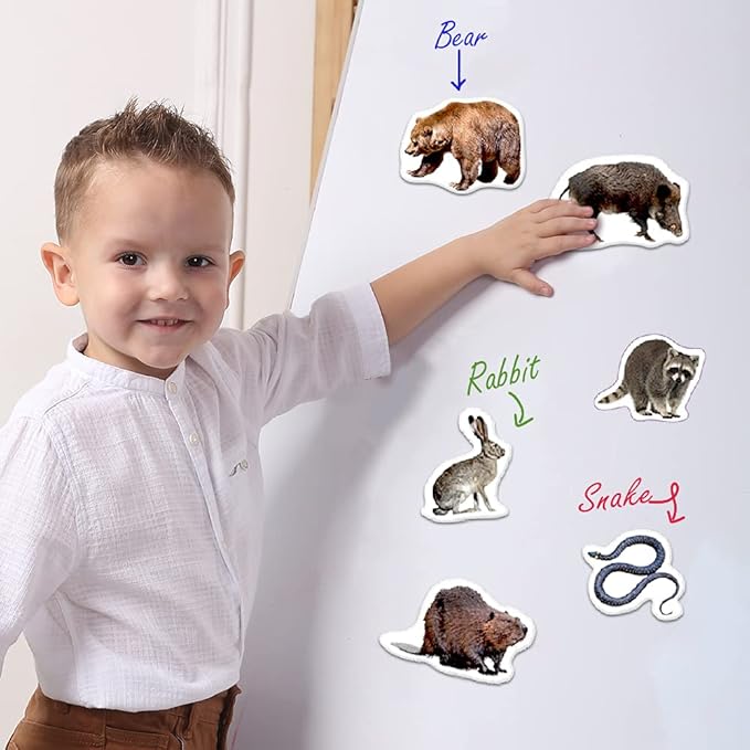 20 Fridge Magnets for Toddlers - Forest Photo Kids Magnets for Fridge - Toddler Magnets for Refrigerator - Magnetic Animals - Fridge Magnets for Kids - Animal Magnets - Toddler Fridge Magnets