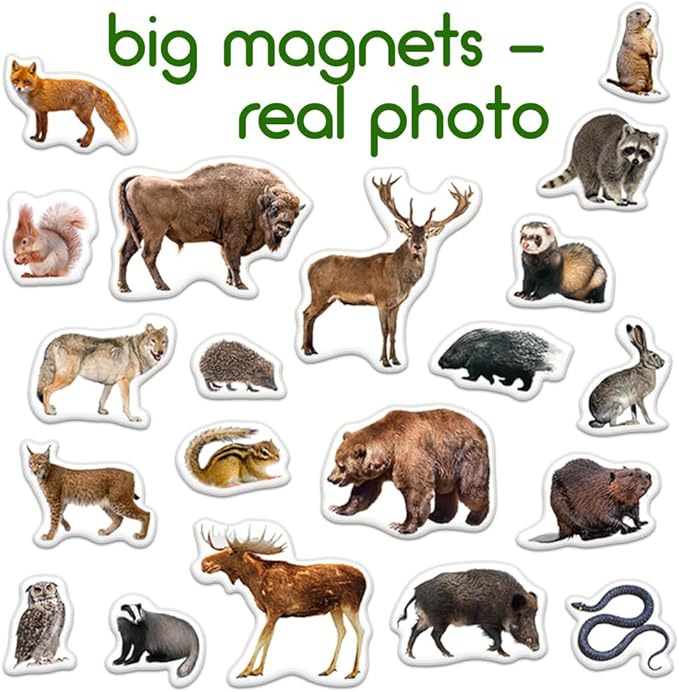 20 Fridge Magnets for Toddlers - Forest Photo Kids Magnets for Fridge - Toddler Magnets for Refrigerator - Magnetic Animals - Fridge Magnets for Kids - Animal Magnets - Toddler Fridge Magnets
