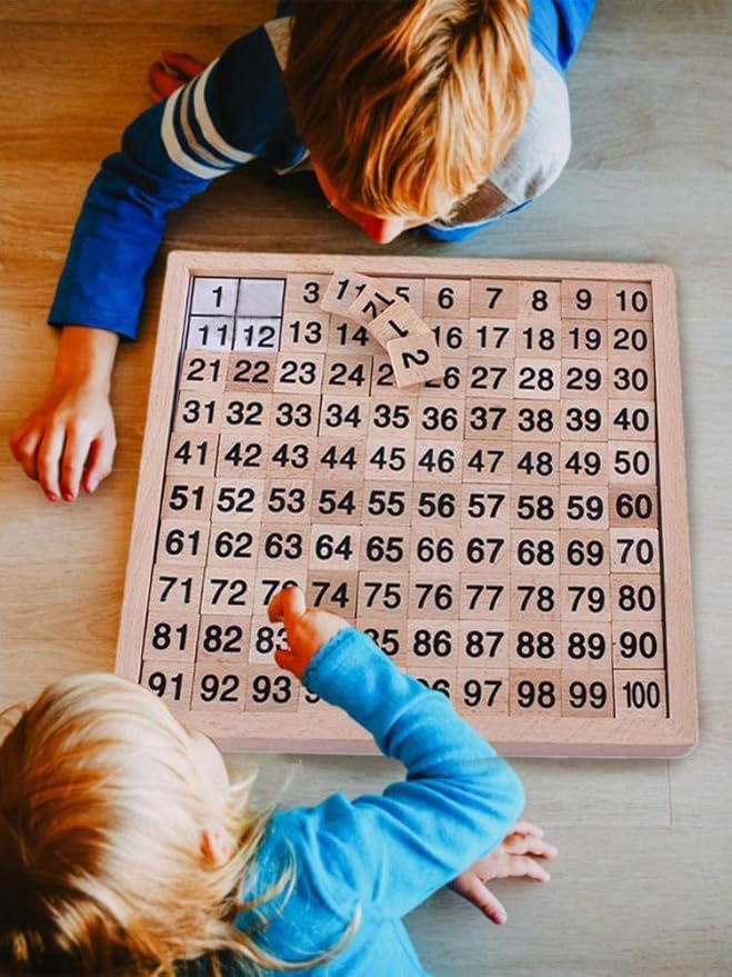 Wooden Toys Hundred Board Montessori 1-100 Consecutive Numbers Educational Game Early Childhood Toy for Kids with Storage Bag (Counting & Math)