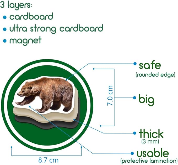 20 Fridge Magnets for Toddlers - Forest Photo Kids Magnets for Fridge - Toddler Magnets for Refrigerator - Magnetic Animals - Fridge Magnets for Kids - Animal Magnets - Toddler Fridge Magnets