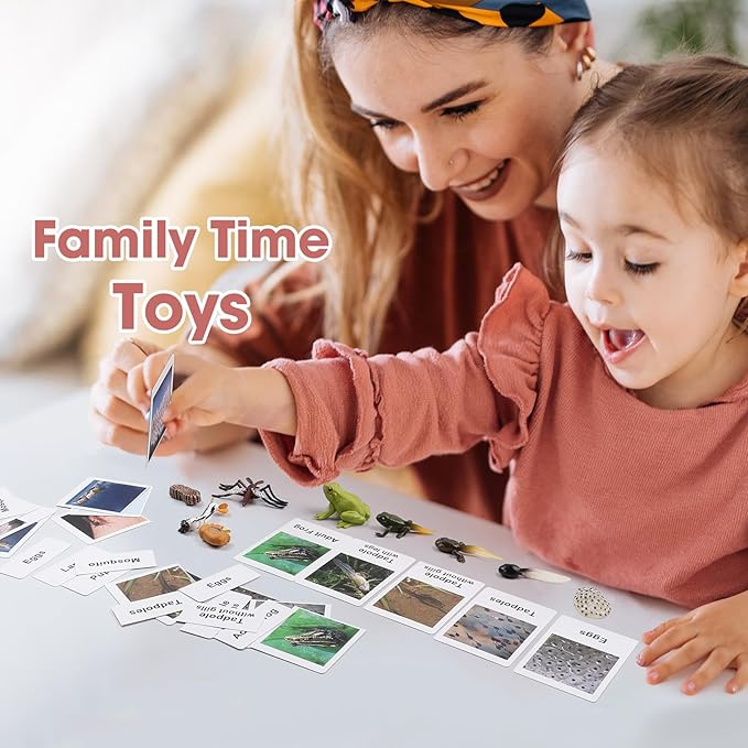 MEROCO Live Tadpole to Frog Life Cycle Toys for Kids Mosquito Bug Toys for Kids 3-5 Animal Matching Game Life Cycle Figurines for Toddlers Learning Insect Education Preschool Science Toys