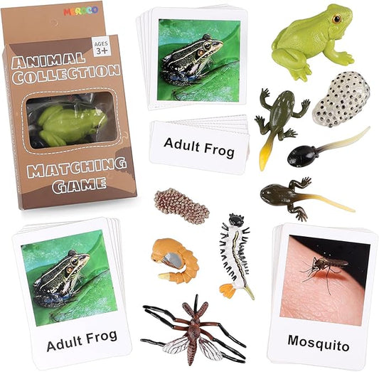 MEROCO Live Tadpole to Frog Life Cycle Toys for Kids Mosquito Bug Toys for Kids 3-5 Animal Matching Game Life Cycle Figurines for Toddlers Learning Insect Education Preschool Science Toys