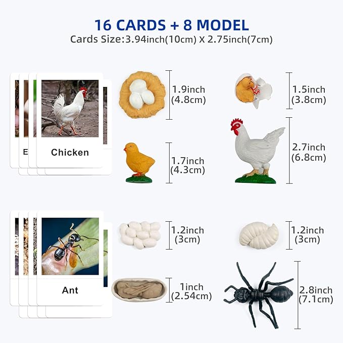 MEROCO Chicken Life Cycle Toys for Kids 3-5 Animal Flashcards with Figurines Preschool Science Matching Game Learning & Education Toys