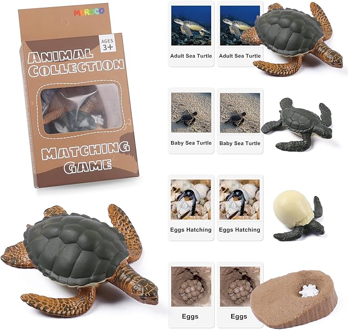 MEROCO Turtle Life Cycle for Kids Animal Flash Cards with Figurines for Toddler Science Toys for Kids 3-5 Preschool Animals Matching Game Figurine Kit Animals Learning & Education Toys for Children