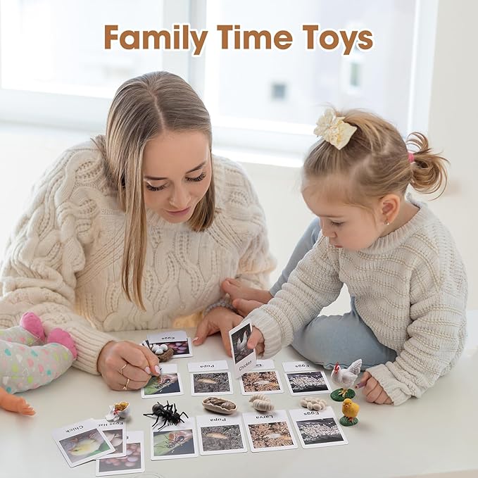 MEROCO Chicken Life Cycle Toys for Kids 3-5 Animal Flashcards with Figurines Preschool Science Matching Game Learning & Education Toys