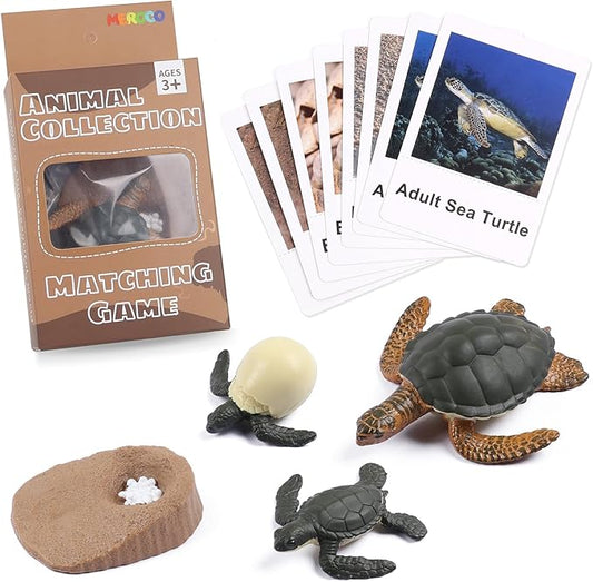 MEROCO Turtle Life Cycle for Kids Animal Flash Cards with Figurines for Toddler Science Toys for Kids 3-5 Preschool Animals Matching Game Figurine Kit Animals Learning & Education Toys for Children