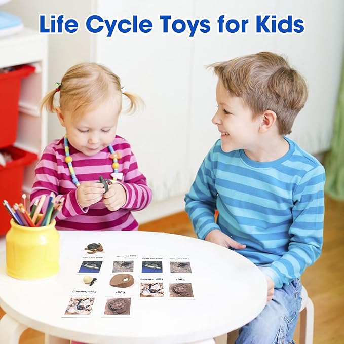 MEROCO Turtle Life Cycle for Kids Animal Flash Cards with Figurines for Toddler Science Toys for Kids 3-5 Preschool Animals Matching Game Figurine Kit Animals Learning & Education Toys for Children
