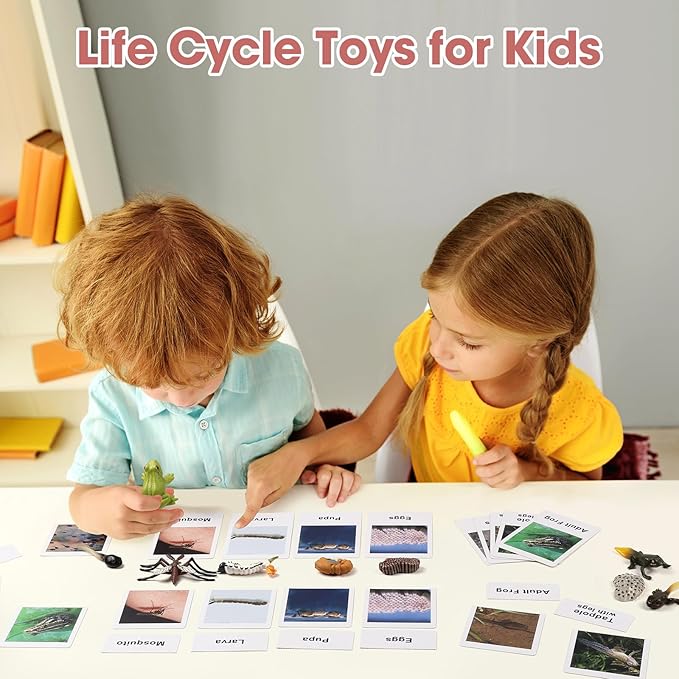 MEROCO Live Tadpole to Frog Life Cycle Toys for Kids Mosquito Bug Toys for Kids 3-5 Animal Matching Game Life Cycle Figurines for Toddlers Learning Insect Education Preschool Science Toys