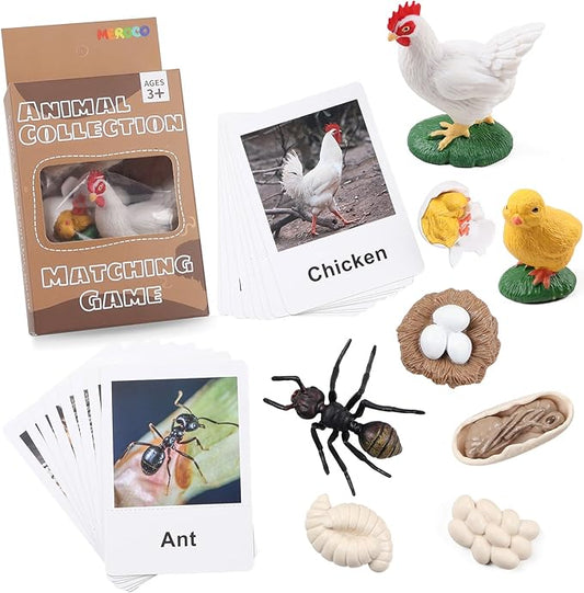 MEROCO Chicken Life Cycle Toys for Kids 3-5 Animal Flashcards with Figurines Preschool Science Matching Game Learning & Education Toys