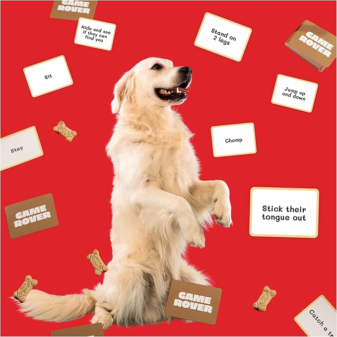 Spin Master Games, SolidRoots Game Rover: Play with Your Dog, Interactive Activity for Bonding with Dogs & Family, 2-12 Players, for Ages 8 & Up