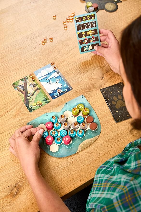 Harmonies Board Game - Create Oneiric Landscapes! Strategic & Poetic Gameplay, Fun Family Game for Kids & Adults, Ages 10+, 1-4 Players, 30 Min Playtime, (Multilingual Edition) Made by Libellud
