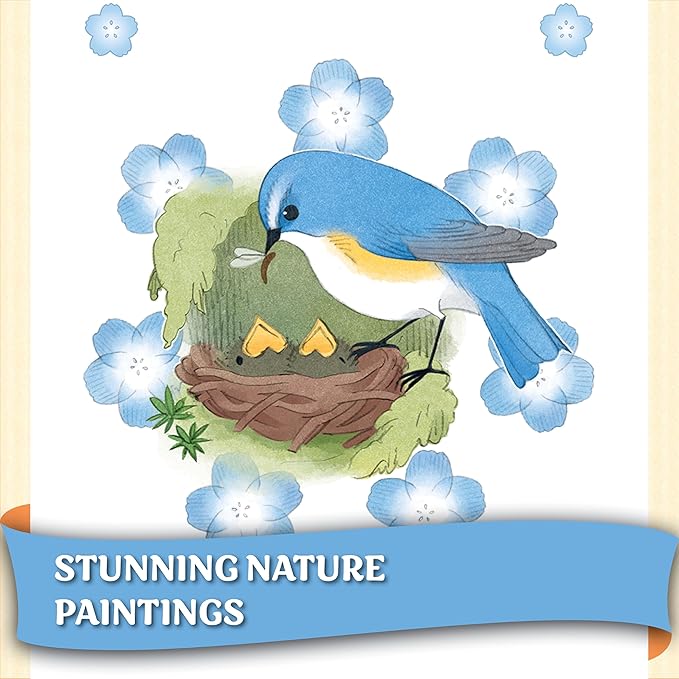 Songbirds Card Game - Fun Family Board Game for 1-4 Players - Easy to Learn Featuring Bird Art