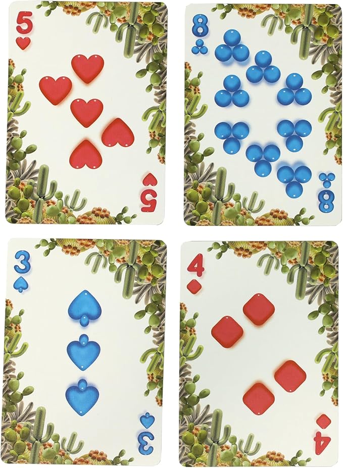 Balloon Ocean and Desert Bicycle Playing Cards - 2 Deck Set with Fun Original Art - Ideal for Childrens Parties