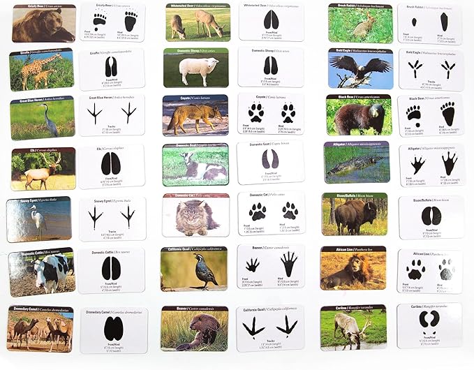 The Young Scientists Club Animal Tracks Game