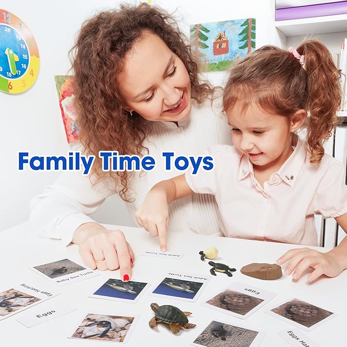 MEROCO Turtle Life Cycle for Kids Animal Flash Cards with Figurines for Toddler Science Toys for Kids 3-5 Preschool Animals Matching Game Figurine Kit Animals Learning & Education Toys for Children