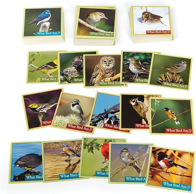 Outset Media What Bird Am I? – The Bird Identification Game – Contains 300 Cards for 2 or More Players Ages 14 and up