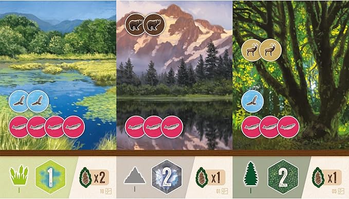 AEG & Flatout Games | Cascadia: Rolling Hills Roll & Write Puzzly Dice Game | Explore The Pacific Northwest, Build Ecosystems | Ages 10+ | 1-4 Players