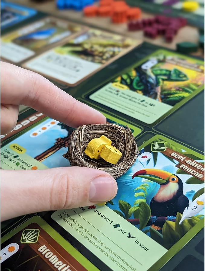Biome Deluxe - Hand Management Board Game, Nature & Seasons, Strategy Tableau Building, Educational Game, Age 10+, 1-4 Players, 60+ Min