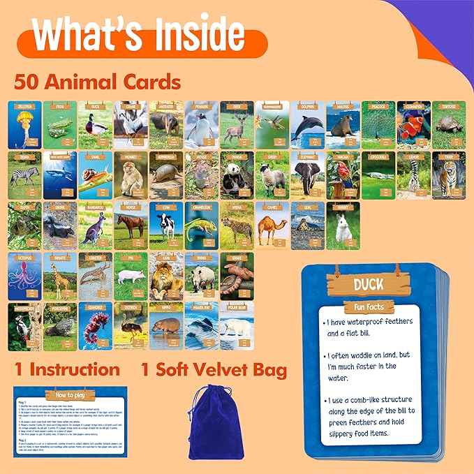 SpriteGru Outdoor Scavenger Hunt Card Game, 50 PCS Animal World Flashcard Jumbo Size Animals Introduction Cards Educational Toys Outside Nature Activity Outdoor Games for Kids & Family