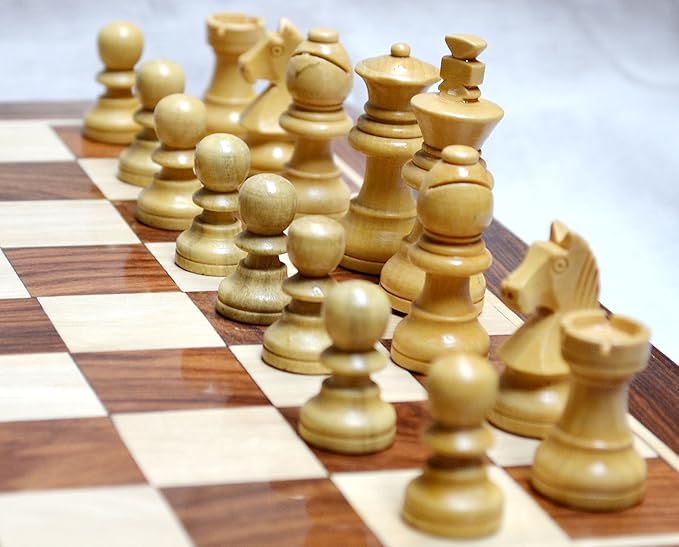 10x10” Chess Set Chess Set with Bag - Folding Standard Magnetic Travel Chess Board Game Handmade in Fine Rosewood with Storage for Chessmen