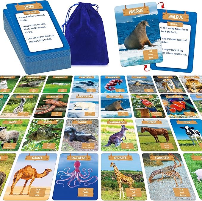 SpriteGru Outdoor Scavenger Hunt Card Game, 50 PCS Animal World Flashcard Jumbo Size Animals Introduction Cards Educational Toys Outside Nature Activity Outdoor Games for Kids & Family