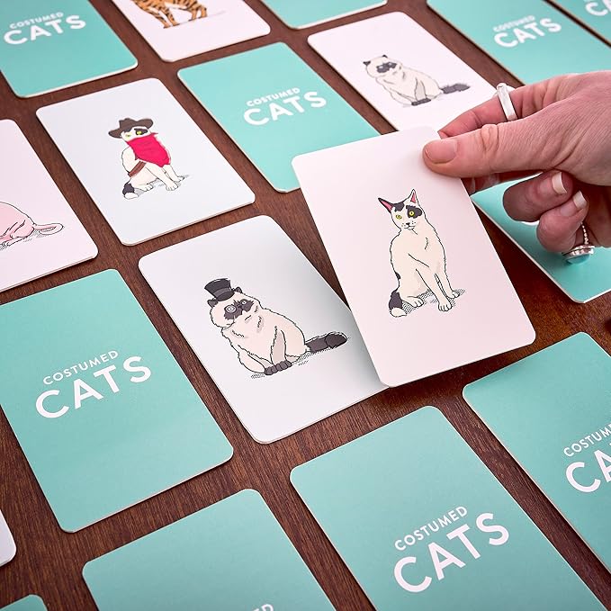 Ridley’s Costume Cats Memory Game – Includes 50 Matching Cards and Instructions – Memory Card Game Featuring Well-Dressed Cats – Fun for All Ages, Makes a Great Gift Idea