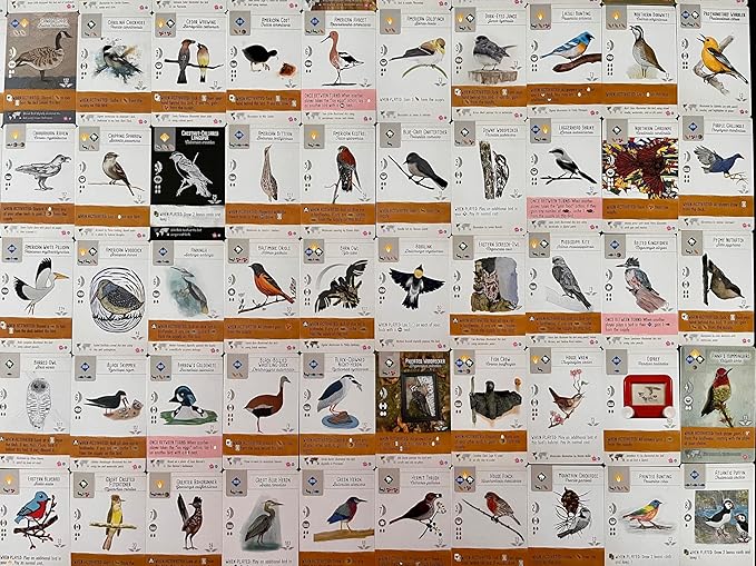 Stonemaier Games: Wingspan Fan Art Pack | Submitted Illustrations of Fan Favorite Birds in Wingspan | Needs Wingspan Base Game to Play
